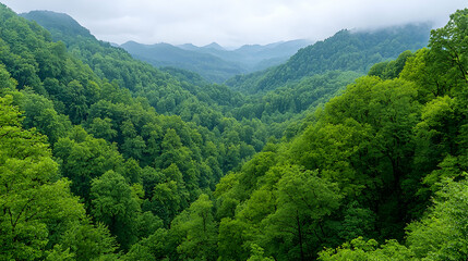 Obraz premium Lush green mountain valley, misty peaks, nature background, travel poster