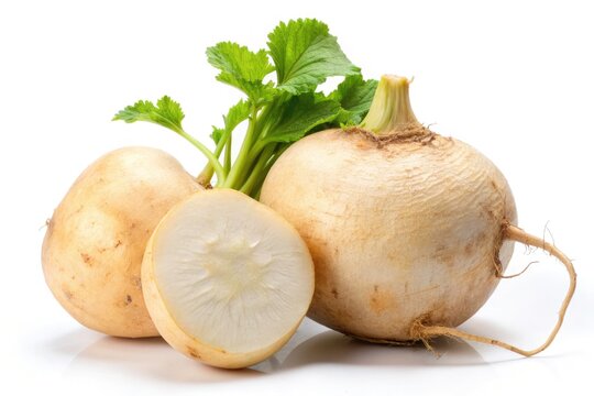 Fresh jicama (Pachyrhizus erosus), a Mexican yam bean, showcased against a pure white background.