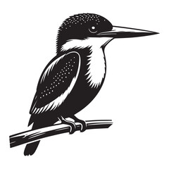 Fototapeta premium Kingfisher bird Silhouette Vector Illustration, Solid White Background.