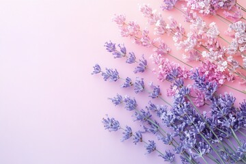 Naklejka premium Lavender and Pink Flower Arrangement on Gradient Pastel Background for Aromatherapy and Decor