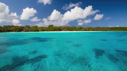 Obraz premium A tranquil ocean view showcasing crystal clear turquoise waters reflecting a vibrant blue sky with fluffy white clouds and lush green coastline.