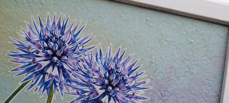 Vibrant thistle blooms gently swaying in artistic macro closeup
