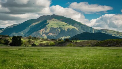Lush green meadow with vibrant grass in foreground, rolling hills and majestic mountains under a bright blue sky with fluffy white clouds in background.