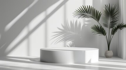 Fototapeta premium Minimal white room, cylinder podium, subtle palm leaf shadows, abstract product display setup