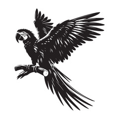 Macaw bird Silhouette Vector Illustration, Solid White Background.