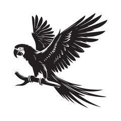 Macaw bird Silhouette Vector Illustration, Solid White Background.