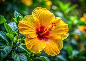 Fototapeta premium Macro lens captures a vivid yellow hibiscus flower, detailed botanical beauty surrounded by vibrant green leaves.
