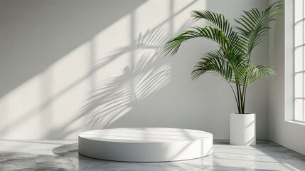 Fototapeta premium Minimal white room, cylinder podium, subtle palm leaf shadows, abstract product display setup