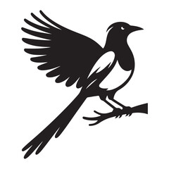 Magpie bird Silhouette Vector Illustration, Solid White Background.