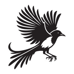 Magpie bird Silhouette Vector Illustration, Solid White Background. © Faysal
