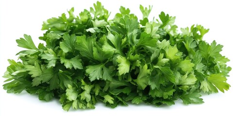 Obraz premium Fresh green parsley herb piled on a white background, vibrant shades of green with lush leafy texture creating a natural and healthy appeal.