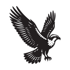 Osprey bird Silhouette Vector Illustration, Solid White Background.