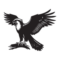 Osprey bird Silhouette Vector Illustration, Solid White Background.