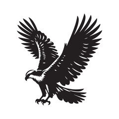 Osprey bird Silhouette Vector Illustration, Solid White Background.