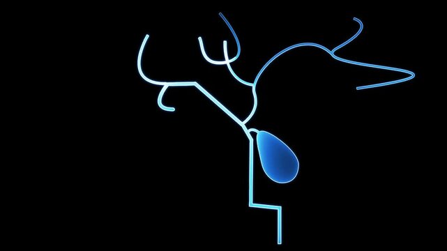 Gallbladder zoom with organs