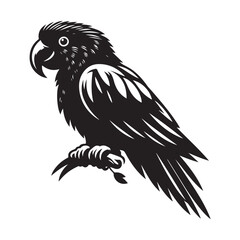 Parrot bird Silhouette Vector Illustration, Solid White Background.