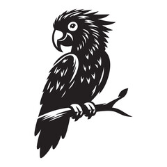 Parrot bird Silhouette Vector Illustration, Solid White Background.
