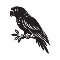 Parrot bird Silhouette Vector Illustration, Solid White Background.