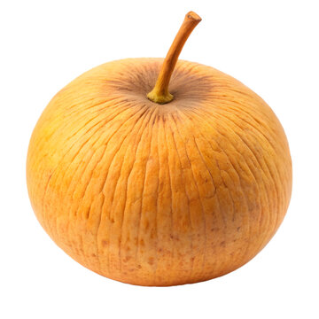 Santol fruit isolated on transparent background 