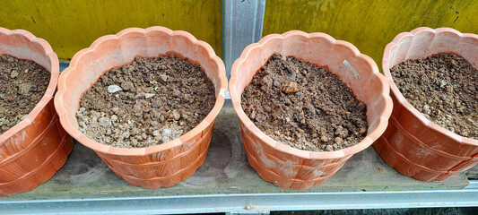 preparation for planting flower pots. Earthen pots filled with soil for planting trees in the garden	
