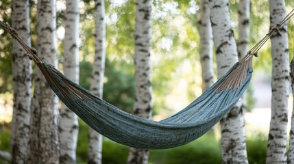 Fototapeta premium A hammock suspended between two tall trees in a dense forest, perfect for outdoor relaxation or adventure