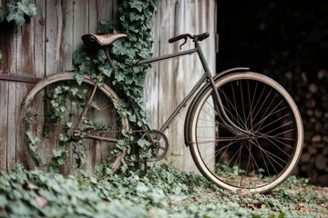 Fotobehang A rusty old bicycle is propped up against a wooden fence, with overgrown grass and a serene landscape in the background © Ева Поликарпова