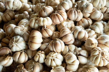 Garlic bulbs, showing their papery white skin and individual cloves, commonly used as a flavorful ingredient in cooking