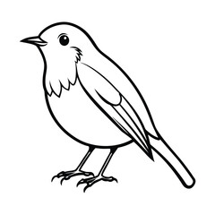 vector illustration of a bird