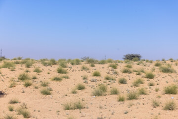 Landscape of indian thar desert of rajasthan.