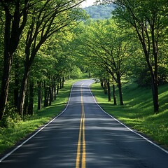 Obraz premium Winding Road Through Trees