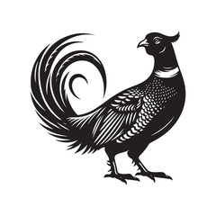 Pheasant bird Silhouette Vector Illustration, Solid White Background.