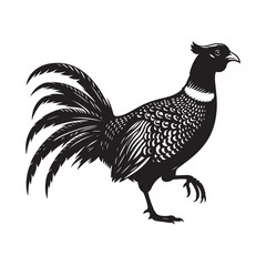 Pheasant bird Silhouette Vector Illustration, Solid White Background.