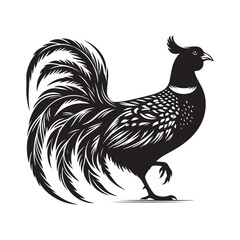 Pheasant bird Silhouette Vector Illustration, Solid White Background.