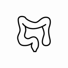 intestine internal organ medical icon vector sign