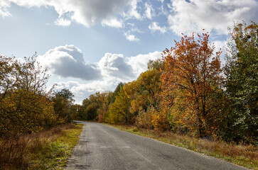 Asphalt country road near trees. A bend road at rural Europe