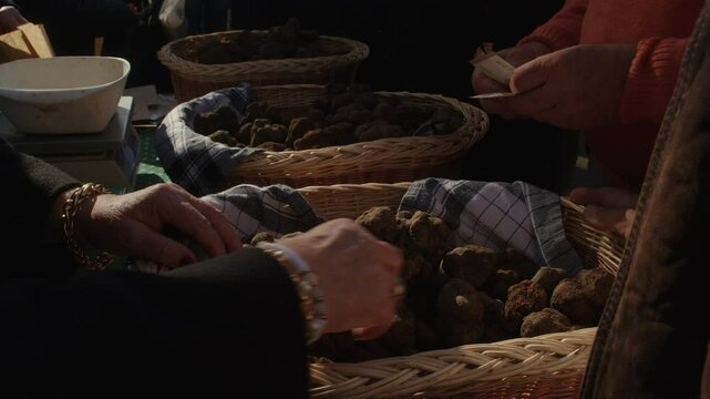 Local vendors showcase freshly harvested truffles in woven baskets at an outdoor market, where eager buyers examine and purchase the sought-after delicacies, creating a lively atmosphere.
