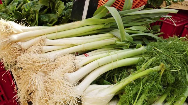 Colorful leeks and fresh dill are arranged at a bustling market stall, capturing the essence of local produce. Suppliers offer these vegetables to eager customers, emphasizing freshness.