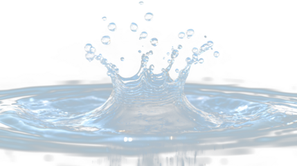 a water droplet is seen in this close up shot