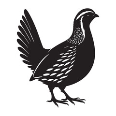 Quail bird Silhouette Vector Illustration, Solid White Background.