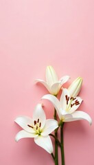 Fototapeta premium Soft pink background, three makeup items, white lilies, beauty, palette