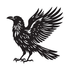 Obraz premium Raven bird Silhouette Vector Illustration, Solid White Background.