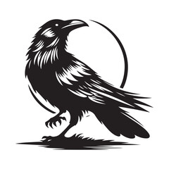 Raven bird Silhouette Vector Illustration, Solid White Background.