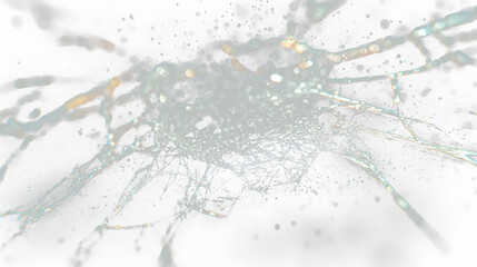 a spider web is shown in the dark