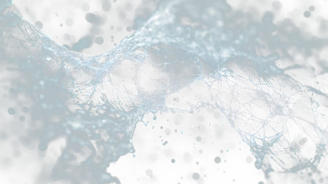 a spider web spider web spider web spider web spider web spider web spider web spider web spider web spider web