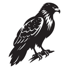 Red-tailed Hawk bird Silhouette Vector Illustration, Solid White Background.