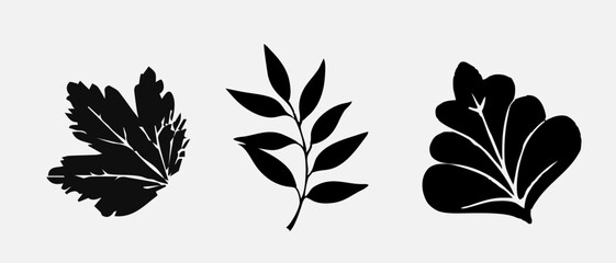 Leaf icons set, tropical leaves set, palm leaves silhouettes isolated, green leafs, environment and nature eco sign