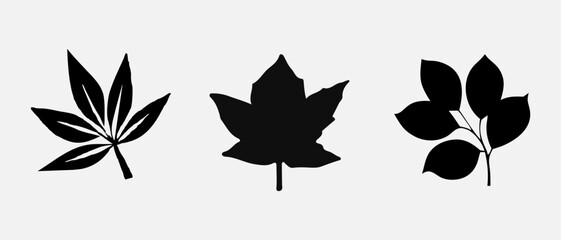 Leaf icons set, tropical leaves set, palm leaves silhouettes isolated, green leafs, environment and nature eco sign