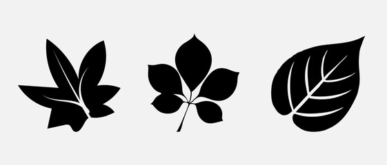 Leaf icons set, tropical leaves set, palm leaves silhouettes isolated, green leafs, environment and nature eco sign