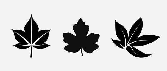 Leaf icons set, tropical leaves set, palm leaves silhouettes isolated, green leafs, environment and nature eco sign