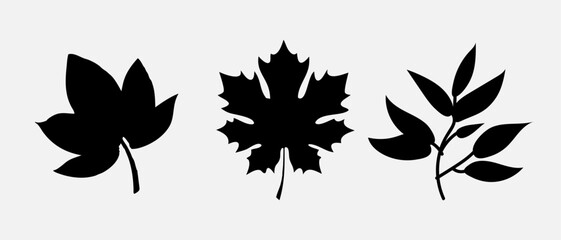 Leaf icons set, tropical leaves set, palm leaves silhouettes isolated, green leafs, environment and nature eco sign